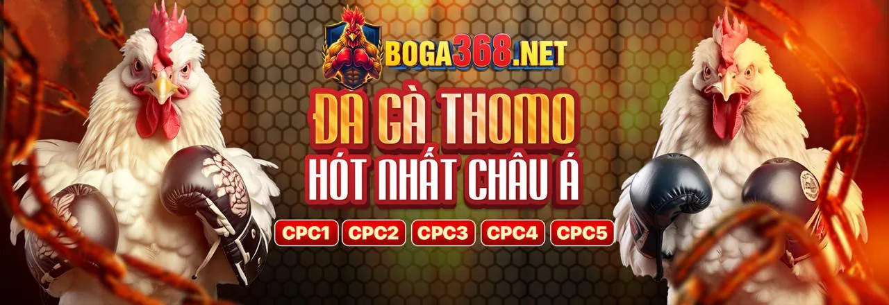 Hoàn Trả và Khuyến Mãi Hàng Ngày kk55 casino