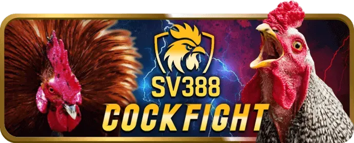 Kết nối kk55 casino trên mạng xã hội